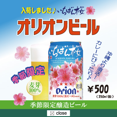 オリオンいちばん桜入荷しました