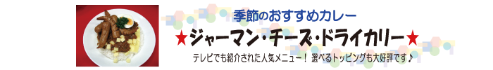 季節のおすすめカレー